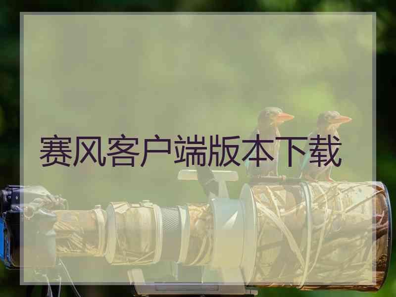 赛风客户端版本下载
