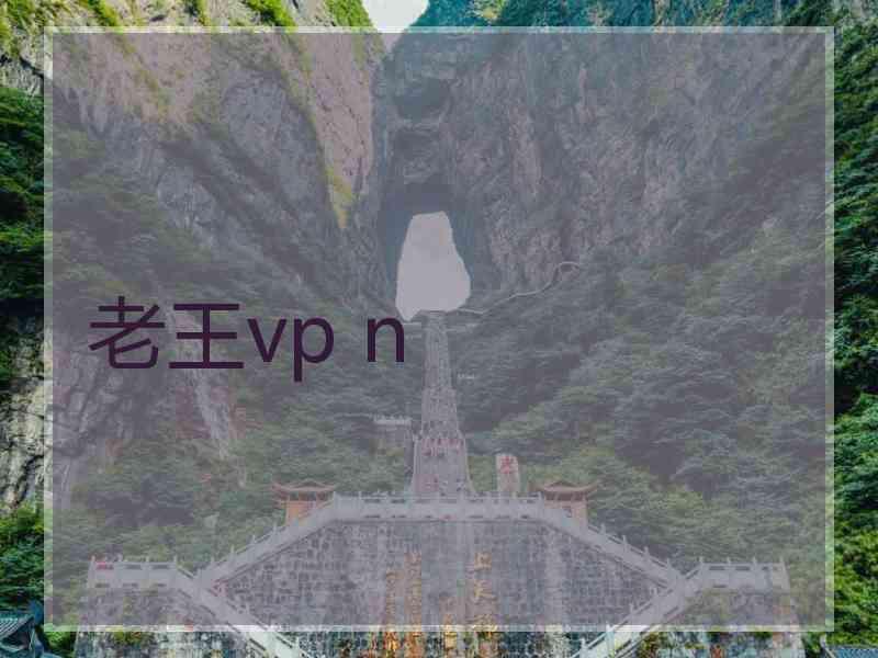 老王vp n