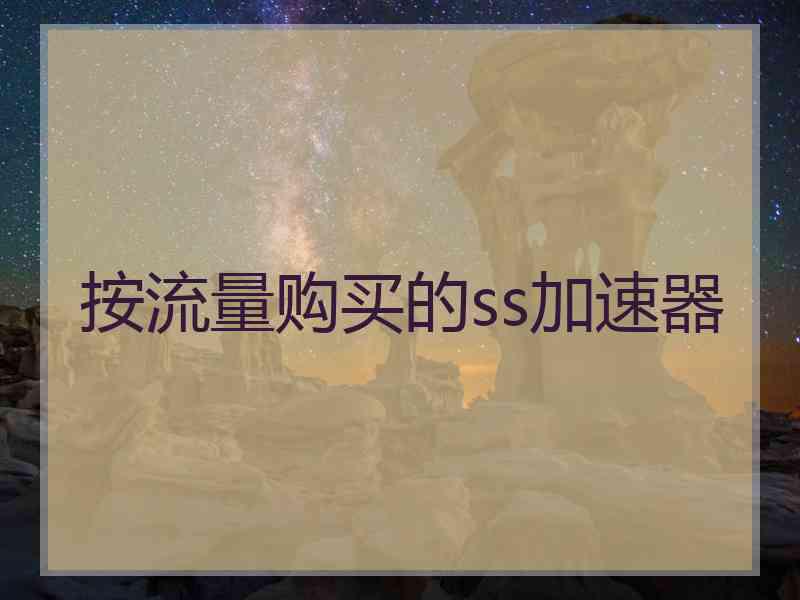 按流量购买的ss加速器