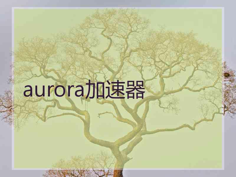 aurora加速器