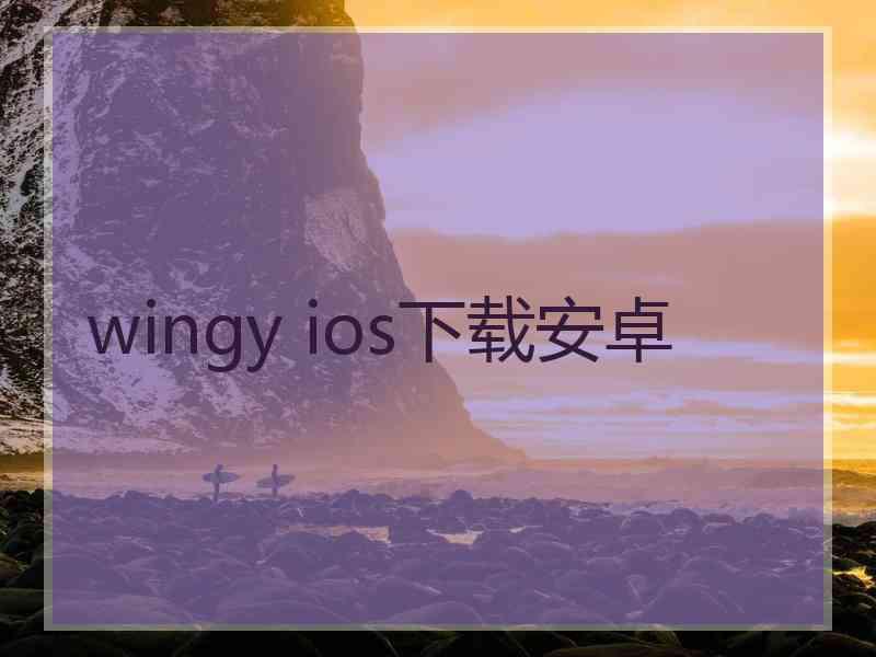 wingy ios下载安卓