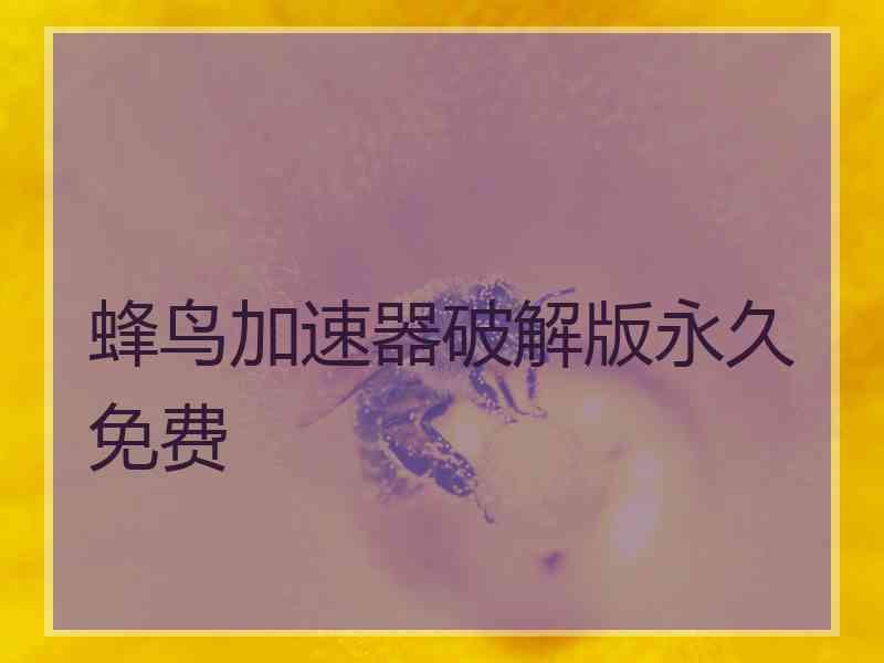 蜂鸟加速器破解版永久免费