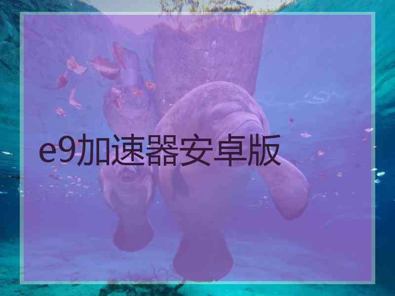 e9加速器安卓版