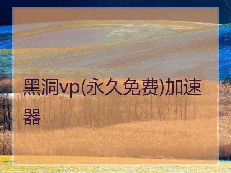 黑洞vp(永久免费)加速器