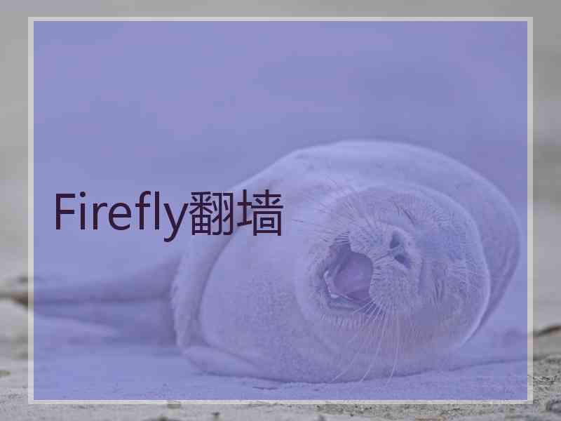 Firefly翻墙