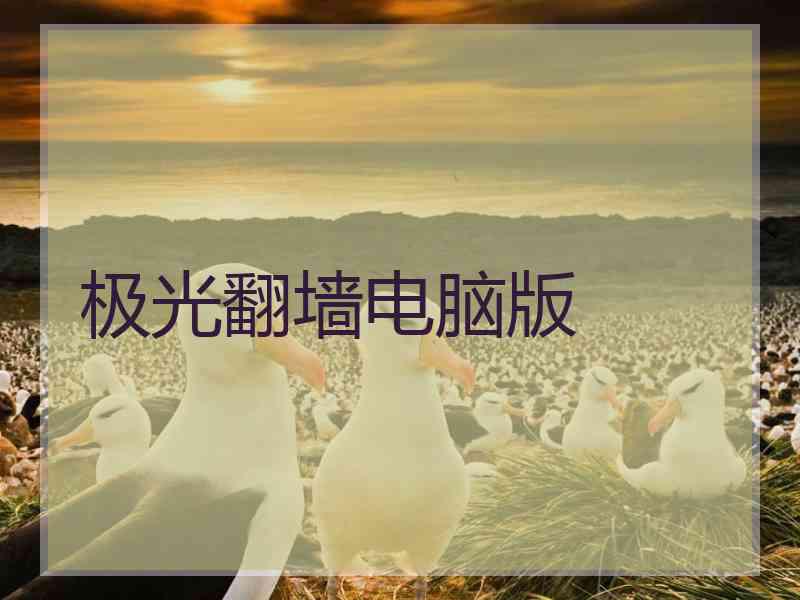 极光翻墙电脑版
