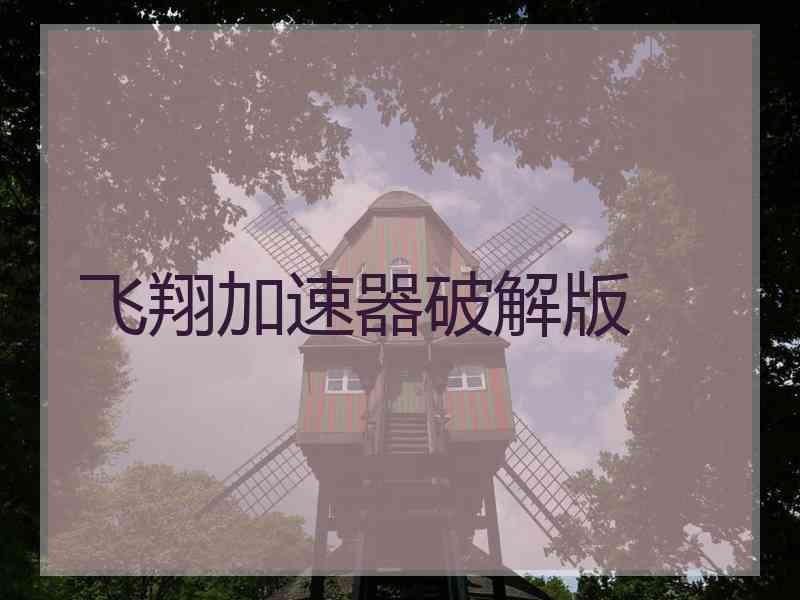 飞翔加速器破解版