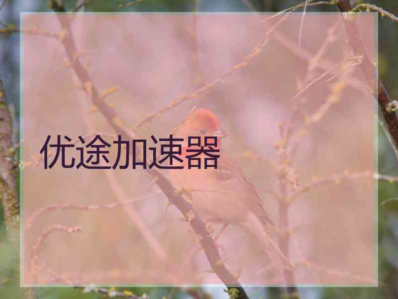 优途加速器