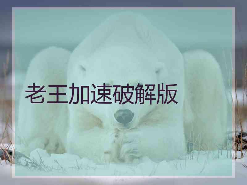 老王加速破解版