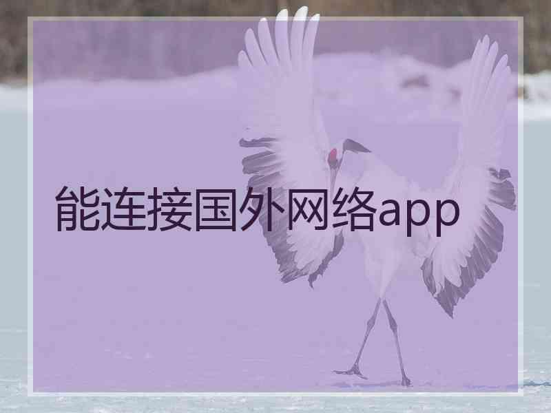 能连接国外网络app