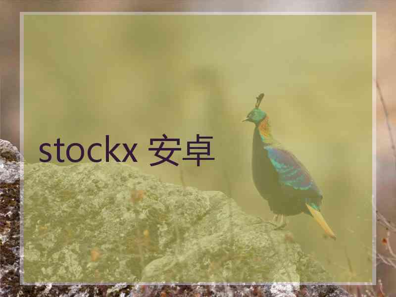 stockx 安卓