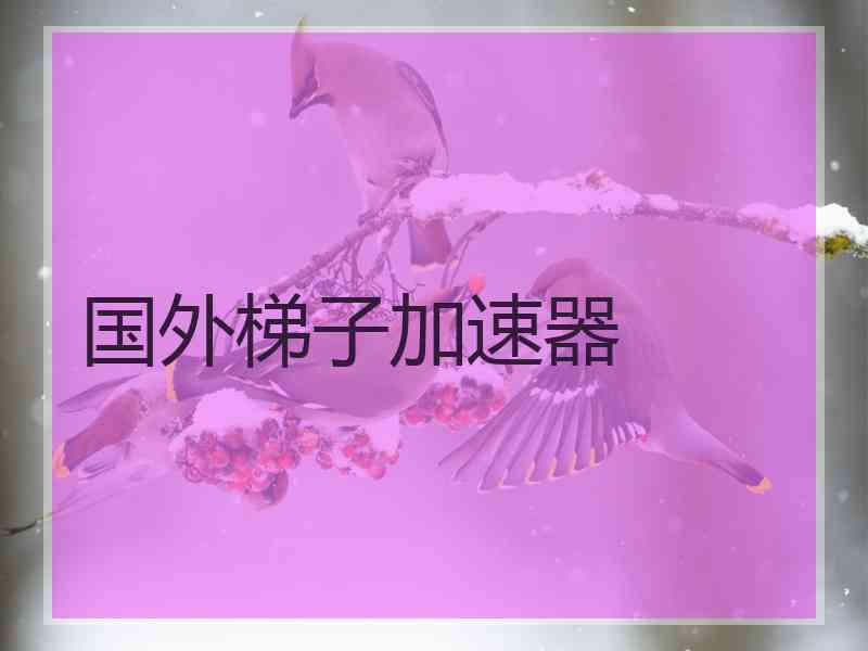 国外梯子加速器