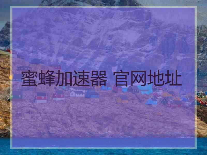 蜜蜂加速器 官网地址