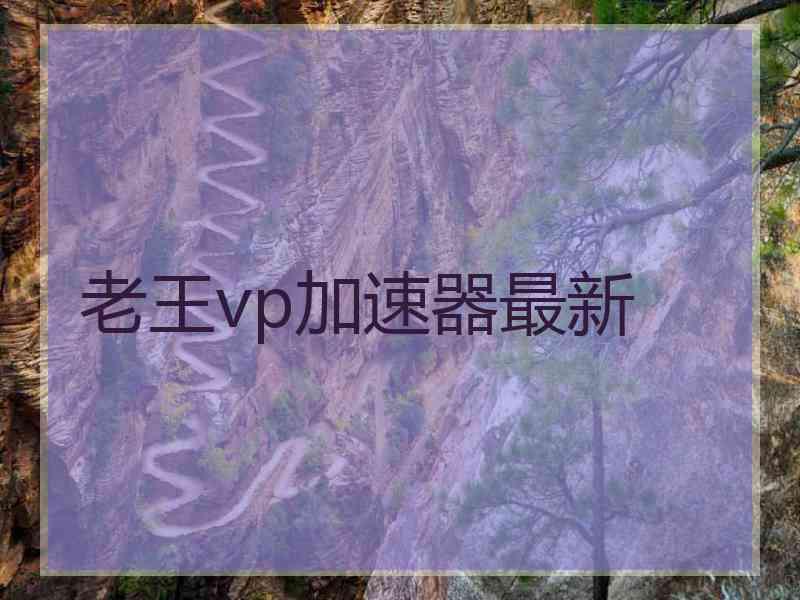 老王vp加速器最新