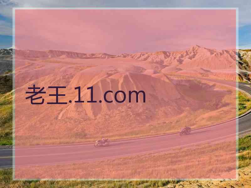 老王.11.com