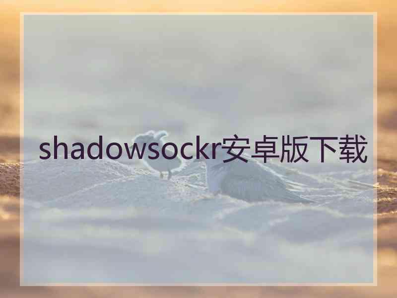 shadowsockr安卓版下载