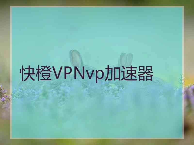 快橙VPNvp加速器