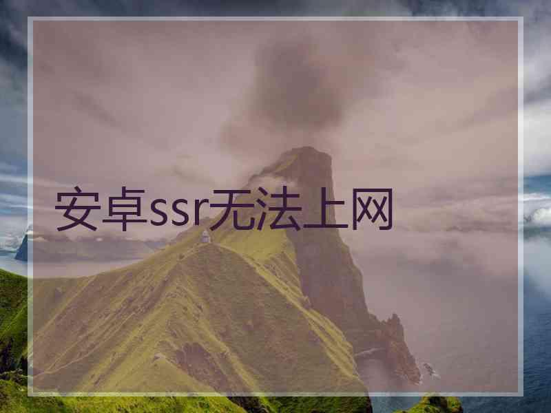 安卓ssr无法上网