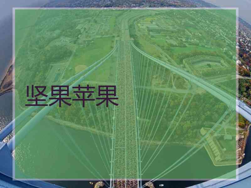 坚果苹果