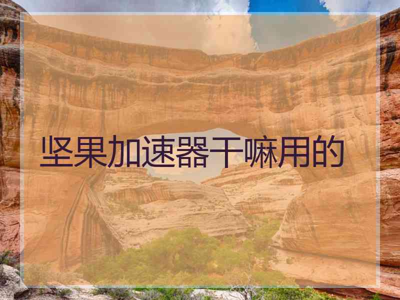 坚果加速器干嘛用的