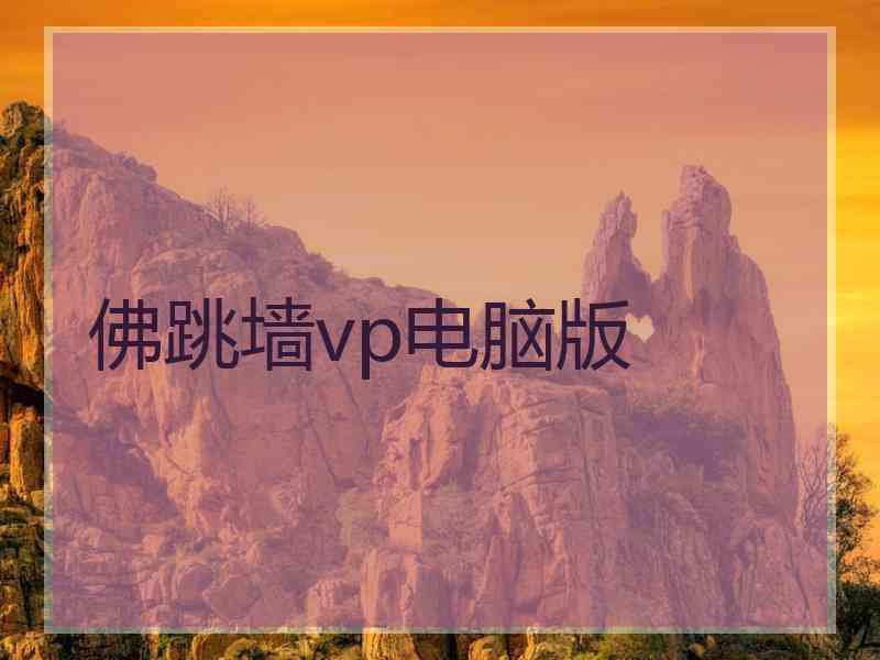 佛跳墙vp电脑版