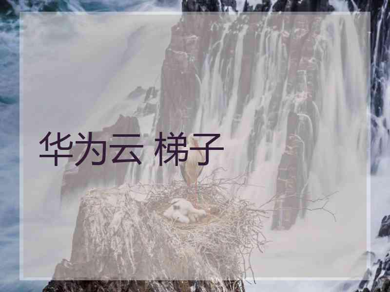 华为云 梯子